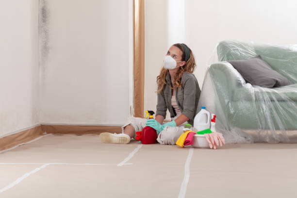 Reliable Black Mold Removal contractor in Hatboro, PA by WQB Mold Removal